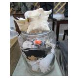 JAR & SEA SHELLS