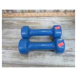 PAIR-- HAND WEIGHTS