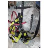 SAFETY HARNESS