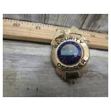 TENNESSEE SECURITY OFFICER BADGE