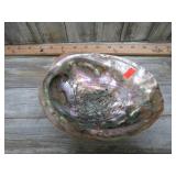 ABALONE SHELL