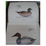 2-- ROBERT CLONTZ SIGNED DUCK PRINTS