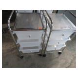 2-- ORGANIZER BIN CARTS