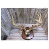 MOUNTED DEER ANTLERS