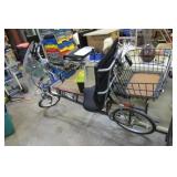 SUN RECUMBENT BICYCLE EX-1 SX