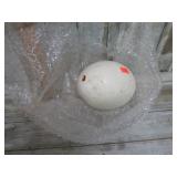 REAL EMU EGG