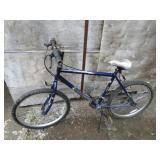 BLUE 24" ROADMASTER MEN