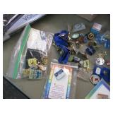 BAG-- ASSORTED PINS