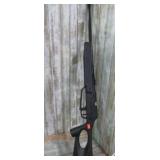 WINCHESTER PUMP BB / PELLET RIFLE -- WORKS