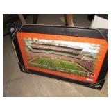 LIMITED EDITION CINCINNATI BENGALS "SIGNATURE" PIC