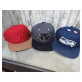 3-- SPORTS TEAM HATS