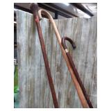 3-- WALKING CANES