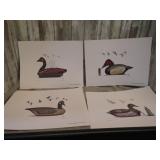 4-- SIGNED & NUMBERED MARK CAREY DUCK DECOY PRINTS