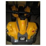 CAT RIDE-ON TOY