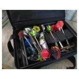 PROFESSIONAL DARTS & CASE