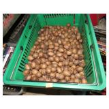 PECANS