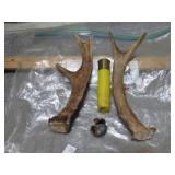 DEER ANTLERS & SHELL THAT KILLED IT