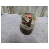EPOXY EMBEDED BUTTERFLY SPECIMEN