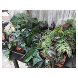 GREENERY ARRANGEMENT