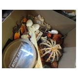 FALL / HALLOWEEN DECOR