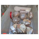 SEASHELL DECOR, ETC