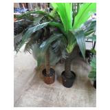 2-- ARTIFICIAL PALM TREES