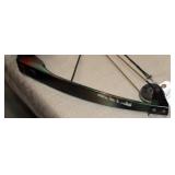 Compound bow w/ quiver