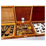 3 Boxes - Taxidermy Butterflies