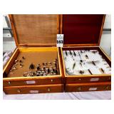 4 - Boxes Taxidermy Beetles, Bees, Wasps, Grasshoppers & Bugs