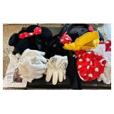 Mickey & Minnie Mouse Costumes