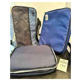 Pyrex Portable Carrier & Arctic Zone Insulated Bag, Cooler