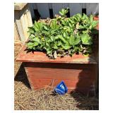 2 - Wooden Planters with Plants
