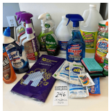 Large Lot of Cleaning Supplies
