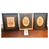 3 - Nice Vintage Pressed Flower Pictures