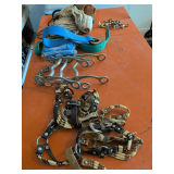 Harnesses, Bits, Straps