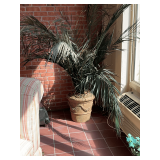 Planter