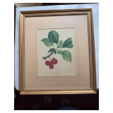 Pair of framed prints