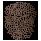 Unsearched Wheat Pennies with Many Steel