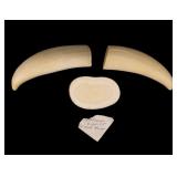 Two Whales Teeth and a Cross Section