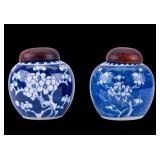 Chinese Blue & White Porcelain Ginger Jar Pair