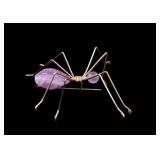 Amethyst Artisan Spider Pin Amethyst Artisan Spider Pin