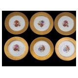Bavarian and Czechoslovakian Dinner Plates Bavarian and Czechoslovakian Dinner Plates