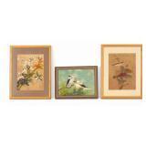 Bird Paintings by Connie Davis and P. Chan