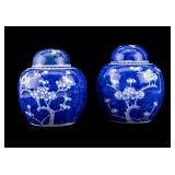 Blue & White Porcelain Ginger Jars (Pair)