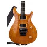 Washburn RS-10V Electric Guitar w/ Case