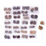Ammonite Fossils Cut & Polished (29 Pc.)
