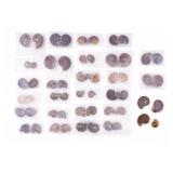 Ammonite Fossils Cut & Polished (28 Pc.)