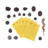 Boji Stones & Holistic Healing (17 Pc.)