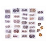 Ammonite Cut & Polished Fossils (30 Pc.)