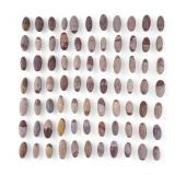 Narmada Shiva Lingam Holistic Stones (74 Pc.)